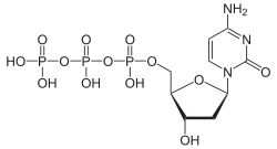 Struktur von Desoxycytidintriphosphat