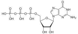 Struktur von Guanosintriphosphat