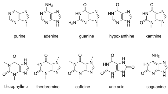 Bedeutende Purine (englische Bezeichnungen)