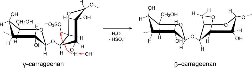 Bildung von beta-Carrageenan aus gamma-Carrageenan
