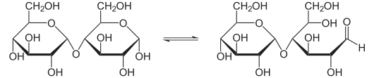 Gleichgewicht zwischen zyklischer und offener Form von Maltose
