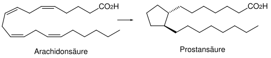 Arachidonic acid to Protanic acid.svg