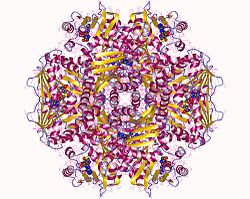 Methyltransferasen