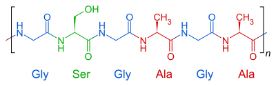 Primärstruktur des Seidenproteins Fibroin