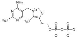 Strukturformel von Thiaminpyrophosphat