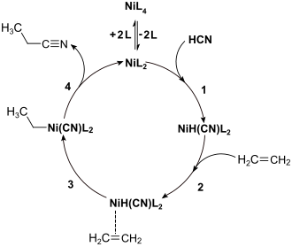 Allgemeiner Katalysecyclus der Hydrocyanierung